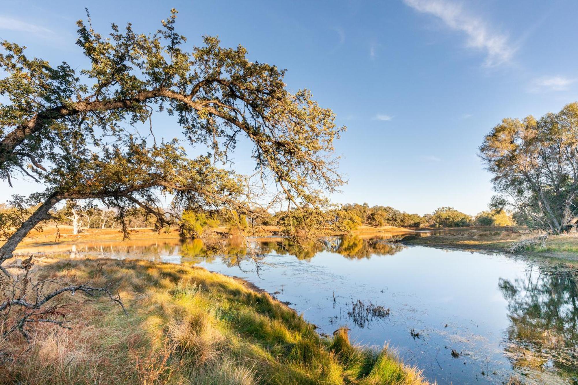Rolling Oaks Ranch - 200 Acres Of Lakeside Beauty & Countryside Serenity Mariposa Esterno foto