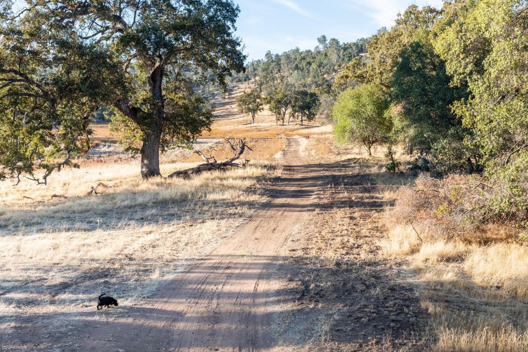 Rolling Oaks Ranch - 200 Acres Of Lakeside Beauty & Countryside Serenity Mariposa Esterno foto