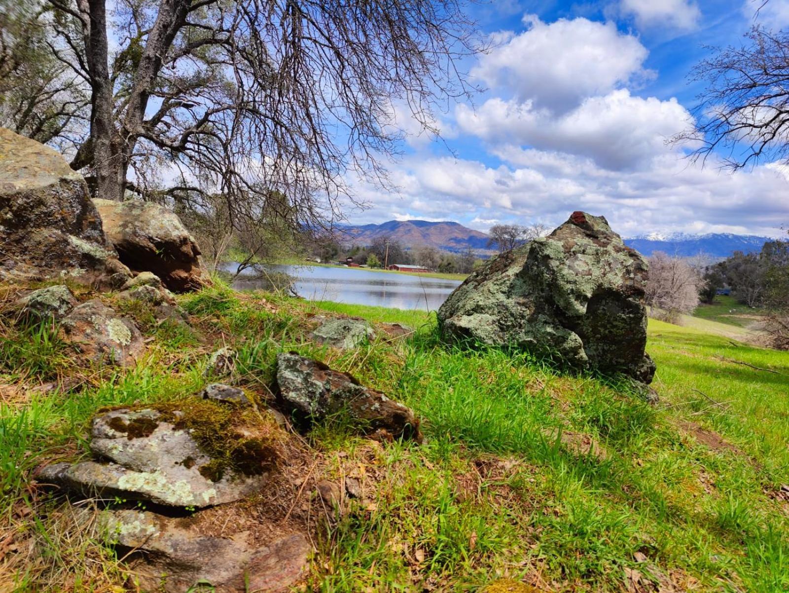 Rolling Oaks Ranch - 200 Acres Of Lakeside Beauty & Countryside Serenity Mariposa Esterno foto