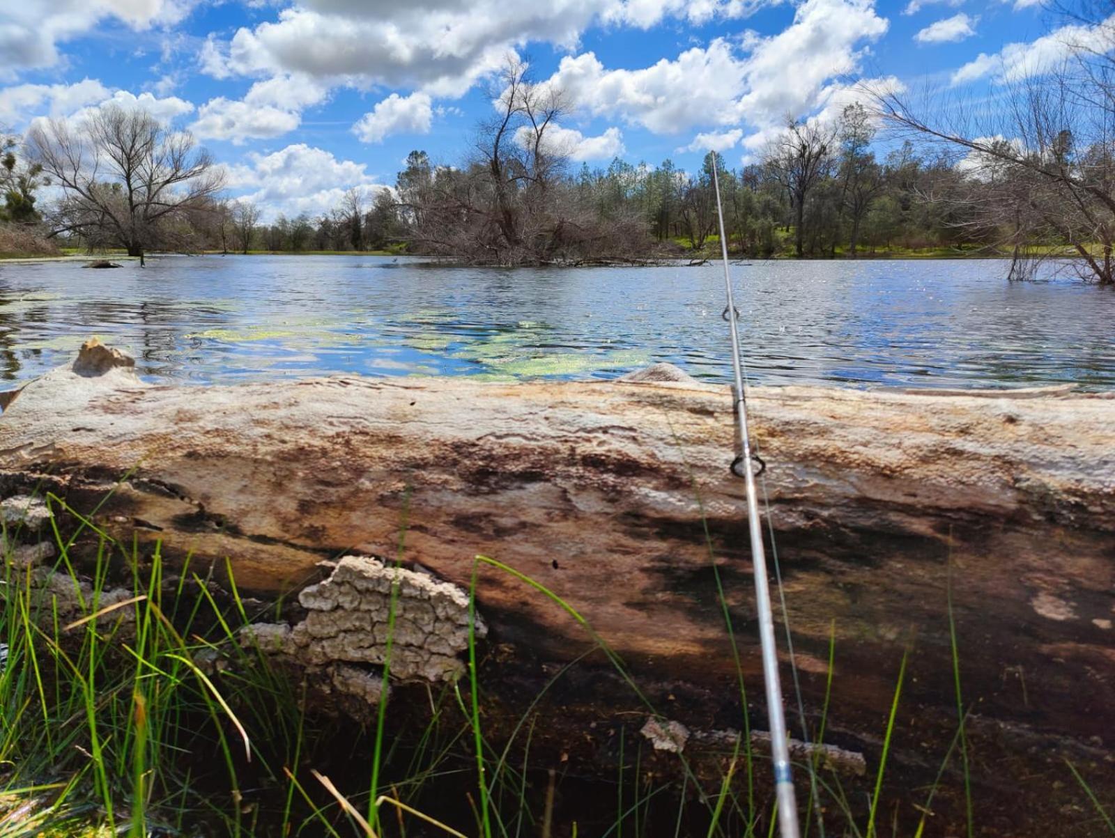 Rolling Oaks Ranch - 200 Acres Of Lakeside Beauty & Countryside Serenity Mariposa Esterno foto