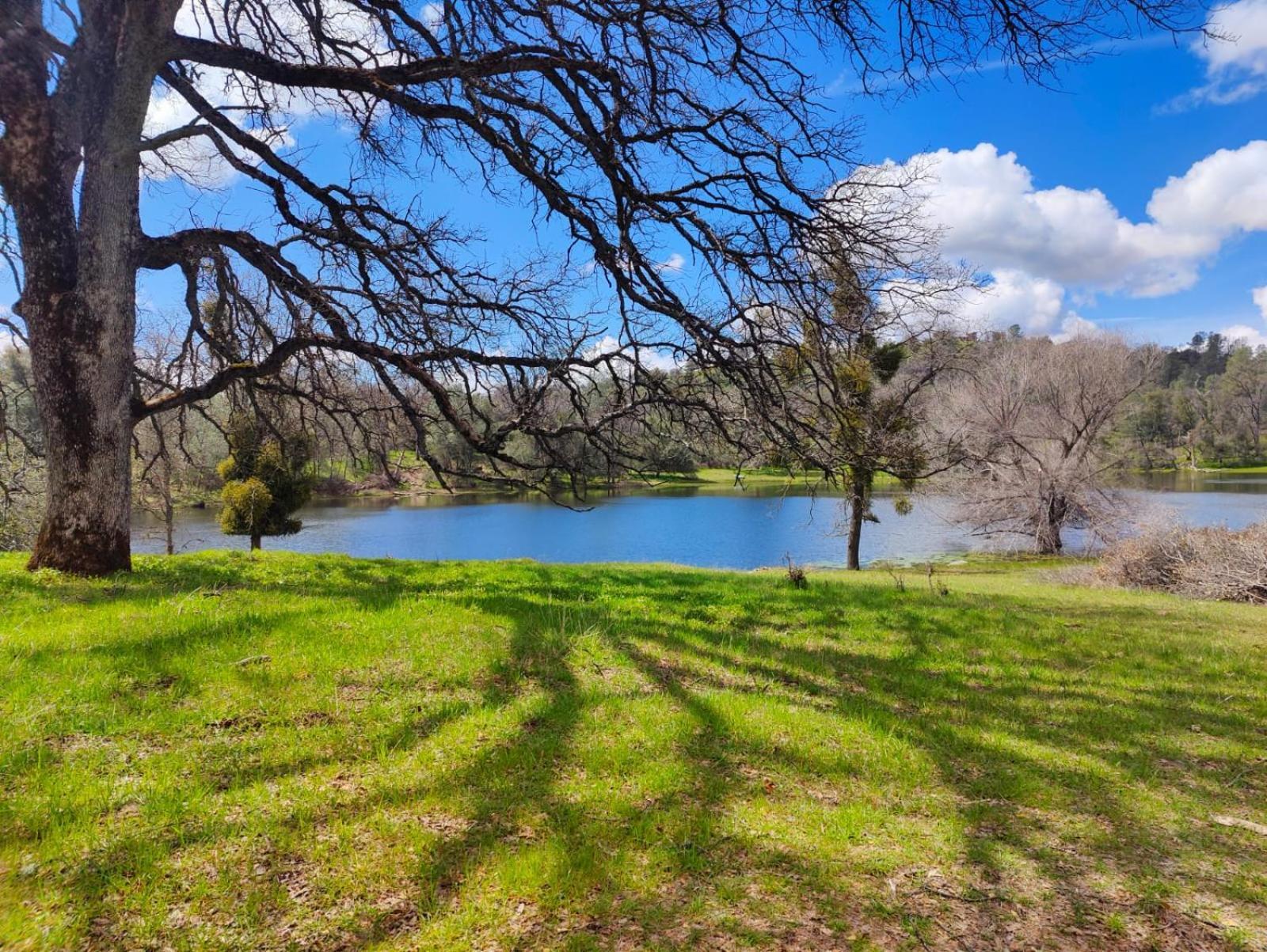 Rolling Oaks Ranch - 200 Acres Of Lakeside Beauty & Countryside Serenity Mariposa Esterno foto